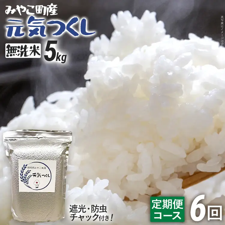 米 定期便 令和8年産 無洗米 元気つくし 5kg 6回  米 