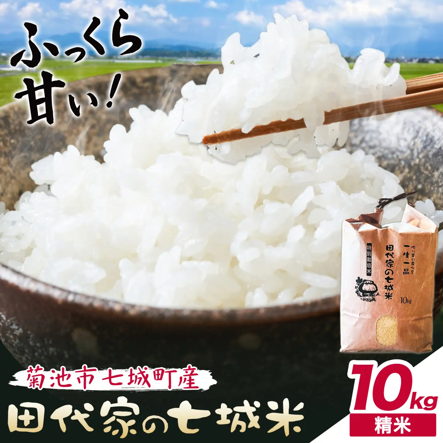 令和7年産 菊池市七城町産 田代家の七城米 七城ヒノヒカリ精米 10kg 田代こめや《30日以内に出荷予定(土日祝除く)》熊本県 菊池市 米 お米 精米 ひのひかり 菊池市産 熊本県産 九州産 送料無料