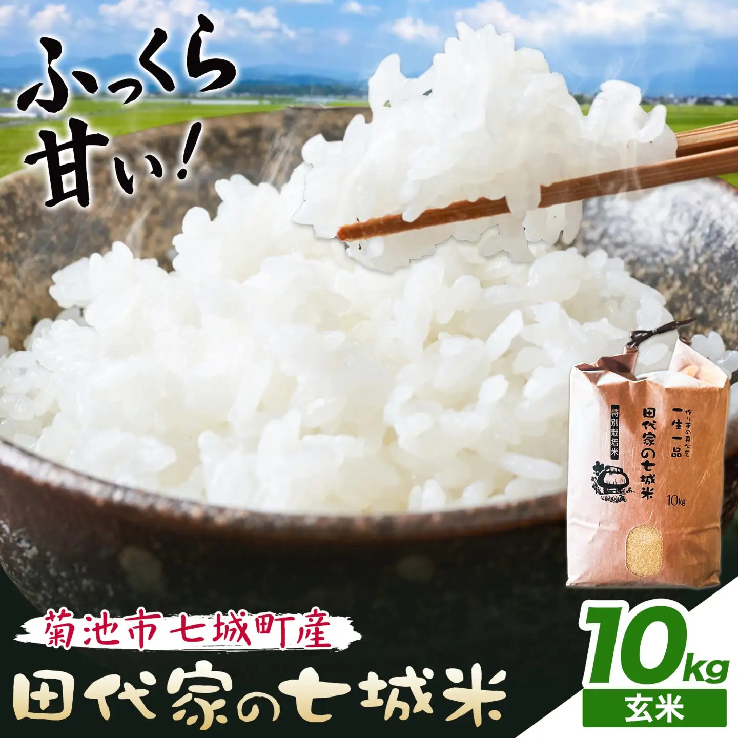 令和7年産 菊池市七城町産 田代家の七城米 七城ヒノヒカリ玄米 10kg 田代こめや《30日以内に出荷予定(土日祝除く)》熊本県 菊池市 米 お米 精米 ひのひかり 菊池市産 熊本県産 九州産 送料無料