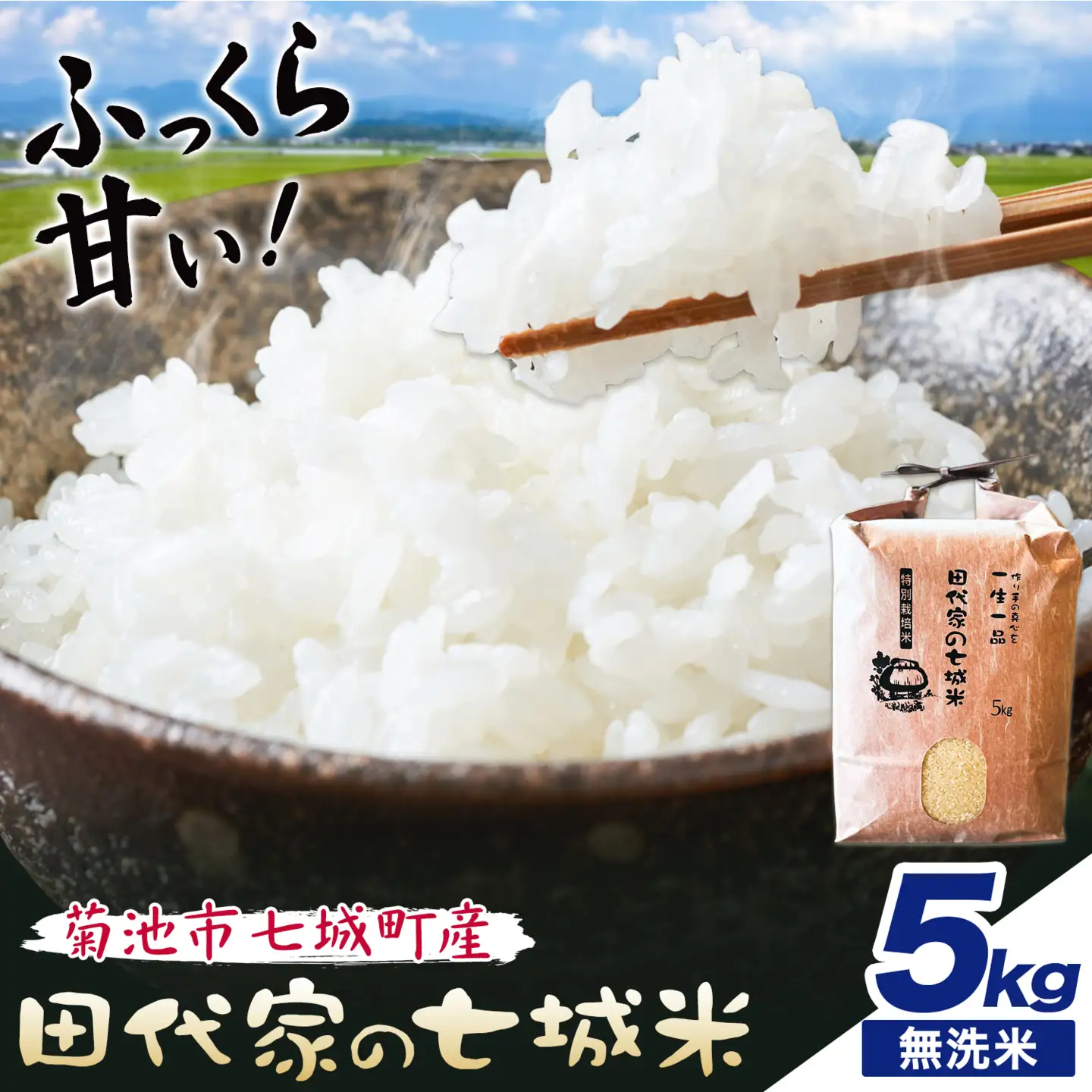 令和7年産 菊池市七城町産 田代家の七城米 七城ヒノヒカリ無洗米 5kg 田代こめや《30日以内に出荷予定(土日祝除く)》熊本県 菊池市 米 お米 精米 ひのひかり 菊池市産 熊本県産 九州産 送料無料
