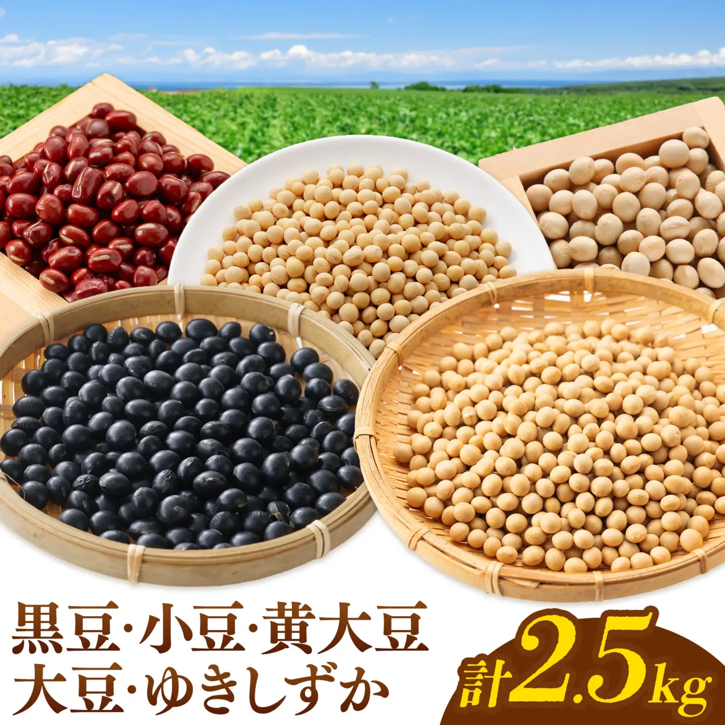 本別 豆 セット 各500g 5種類 2.5kg 特定非営利活動法人 銀河ほんべつ《30日以内に出荷予定(土日祝除く)》大豆 黒豆 小豆 ゆきしずか 黄大豆