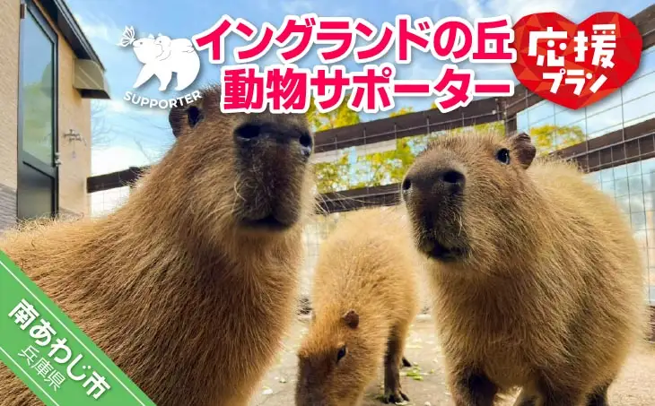 【イングランドの丘】動物サポーター《応援プラン》