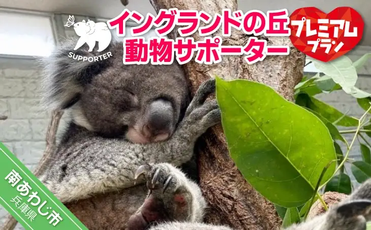 【イングランドの丘】動物サポーター《プレミアムプラン》