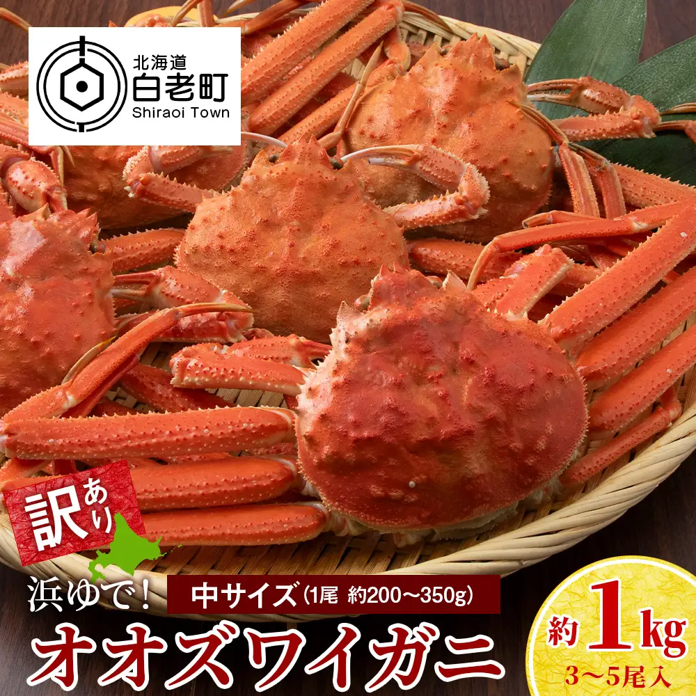【7営業日以内発送】訳あり オオズワイガニオス 中サイズ (約200-350g) 浜ゆで 1kg (3-5尾入)AS224