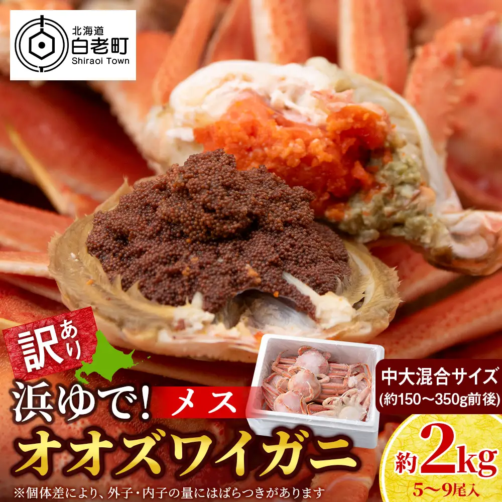 【7営業日以内発送】訳あり オオズワイガニメス (約150-350g前後) 浜ゆで 2kg (5～9尾入) AS226
