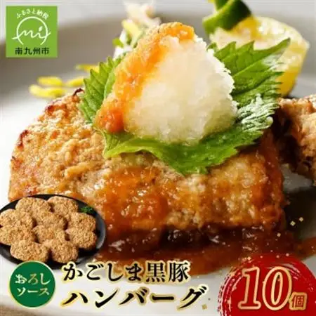 かごしま黒豚ハンバーグおろしソース10個【配送不可地域：離島】【1185888】