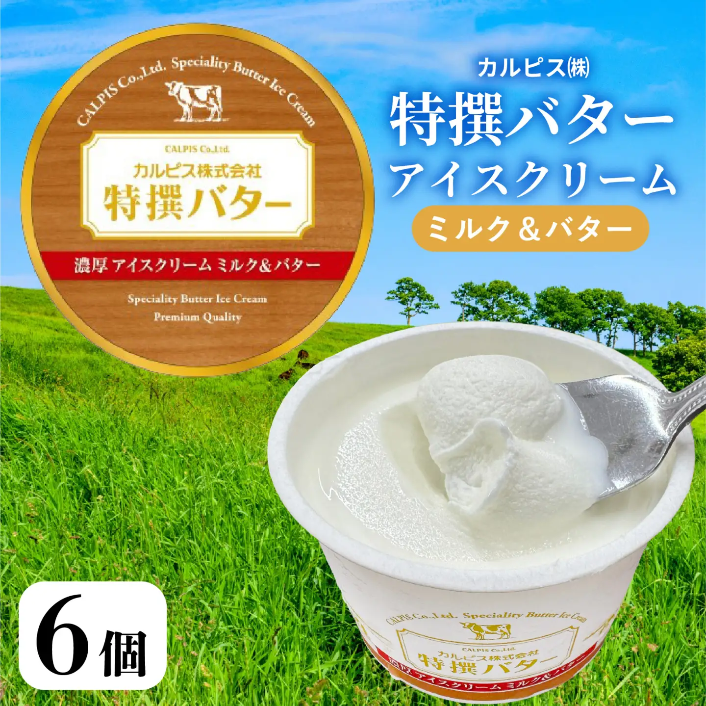 カルピス(株)特撰バターアイスクリーム ６個入 アイス プレミアム