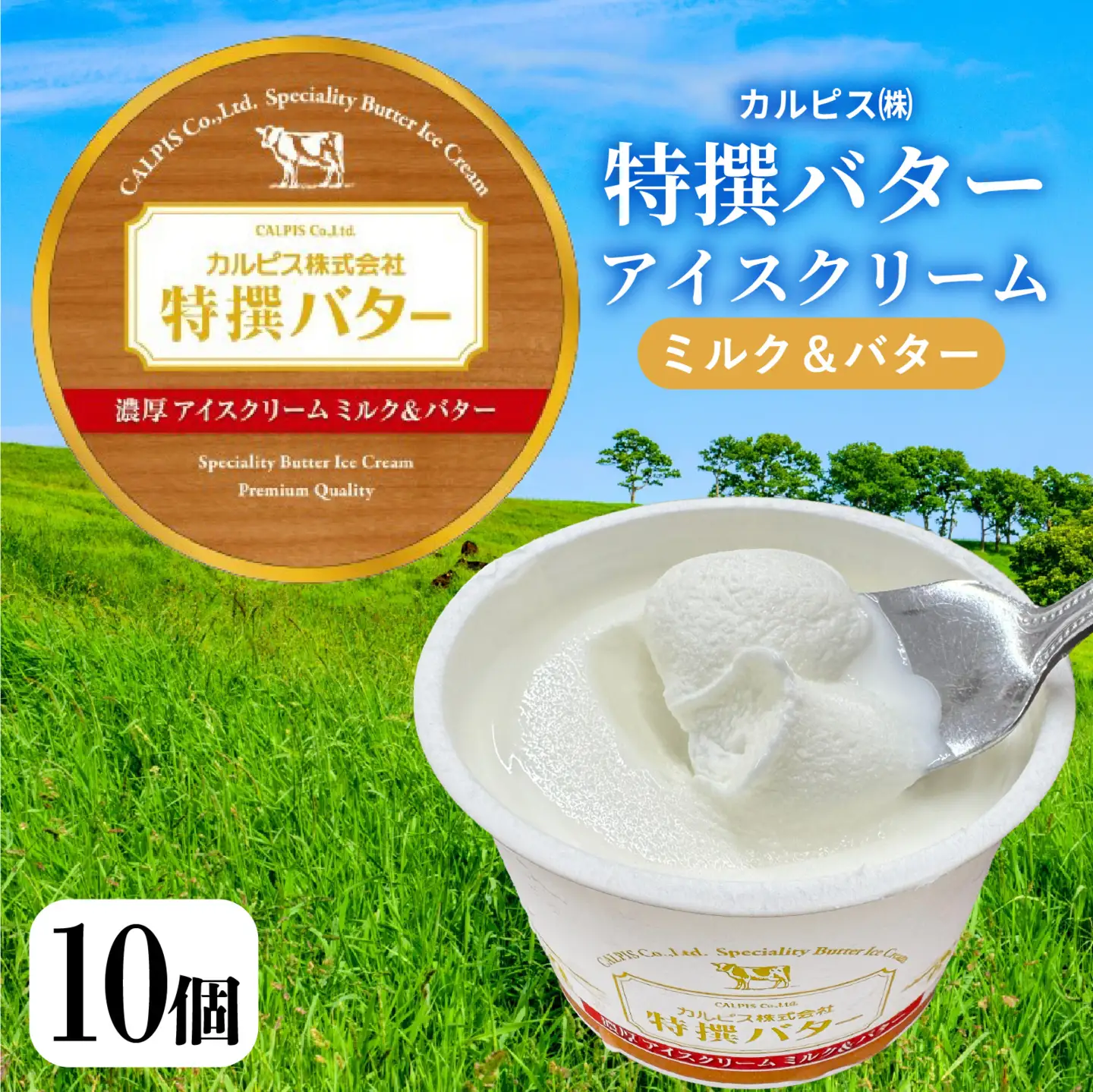 カルピス(株)特撰バターアイスクリーム 10個入 アイス プレミアム
