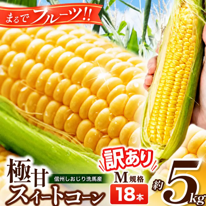 【2026年先行予約】 極甘スイートコーン 訳あり M規格18本 約5kg （高原野菜の名産地　信州しおじり洗馬産）【7月末～8月中旬にかけて順次発送予定】
