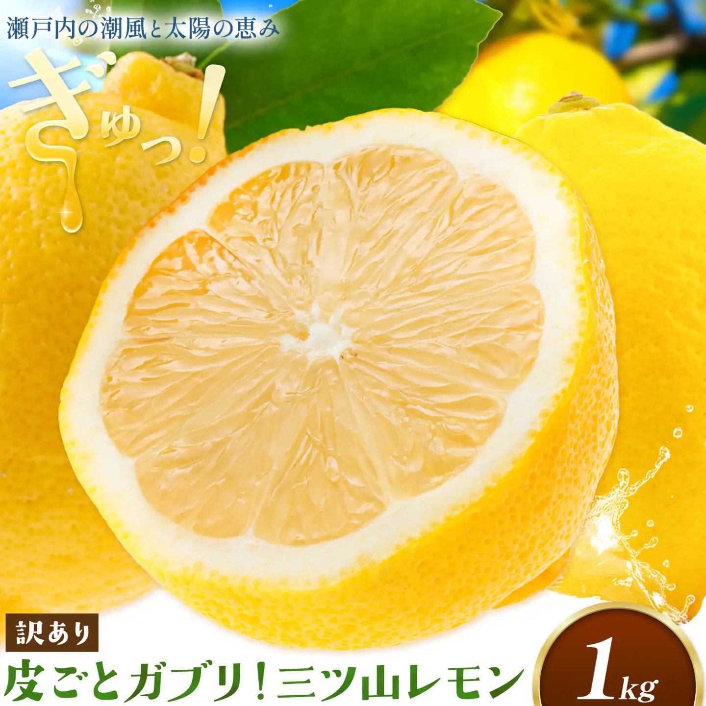 《先行予約》 訳あり 三ツ山レモン 1kg 三ツ山レモンファーム