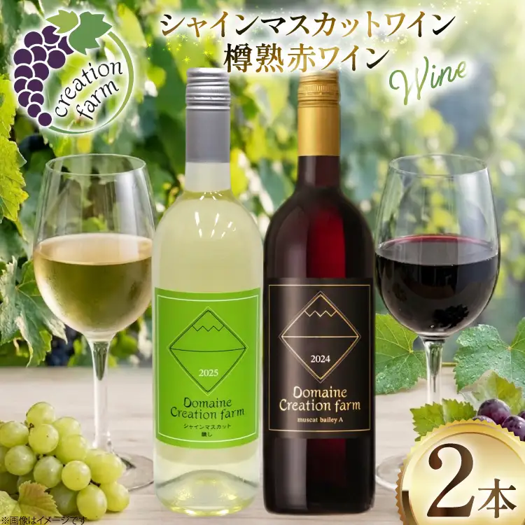 ワイン シャインマスカット醸しワイン 樽熟成赤ワインセット 750ml x 2本 [Creation farm 山梨県 韮崎市 20745402]