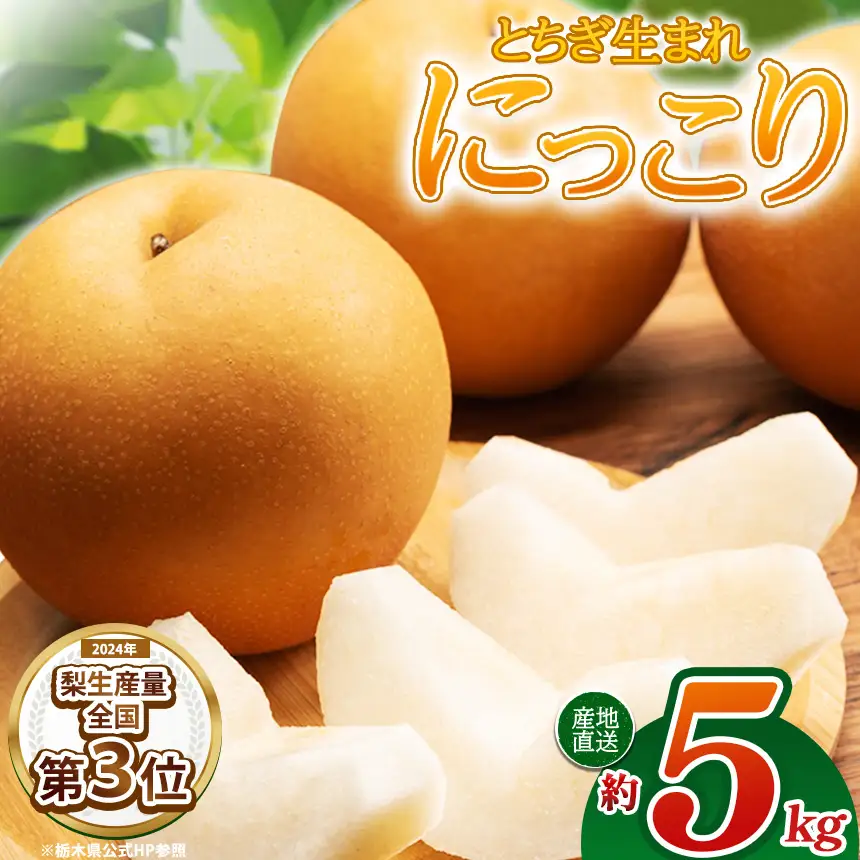【栃木県共通返礼品】梨 にっこり 5kg | 栃木県 那珂川町 送料無料