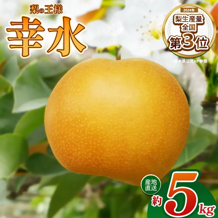 【栃木県共通返礼品】梨 幸水 5kg | 栃木県 那珂川町 送料無料