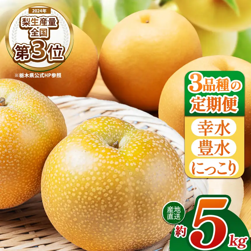 【栃木県共通返礼品】【定期3回】梨 定期便 5kg | 栃木県 那珂川町 送料無料