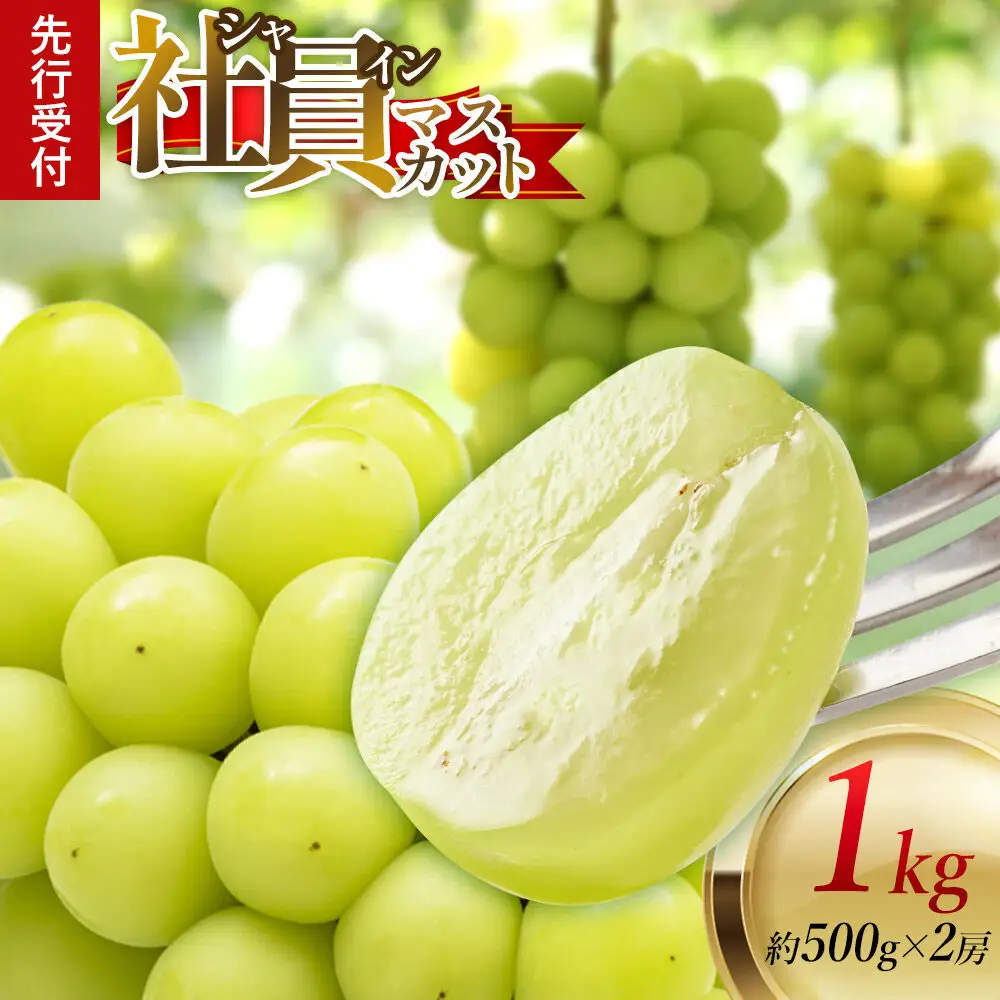 《先行受付》シャインマスカット【社員マスカット】約500g×2房 1kg