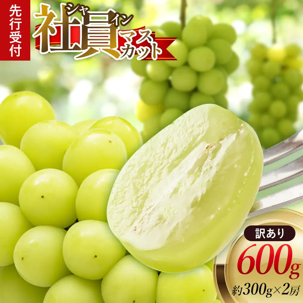 《先行受付》【訳あり】シャインマスカット【社員マスカット】約300g×2房 約600g