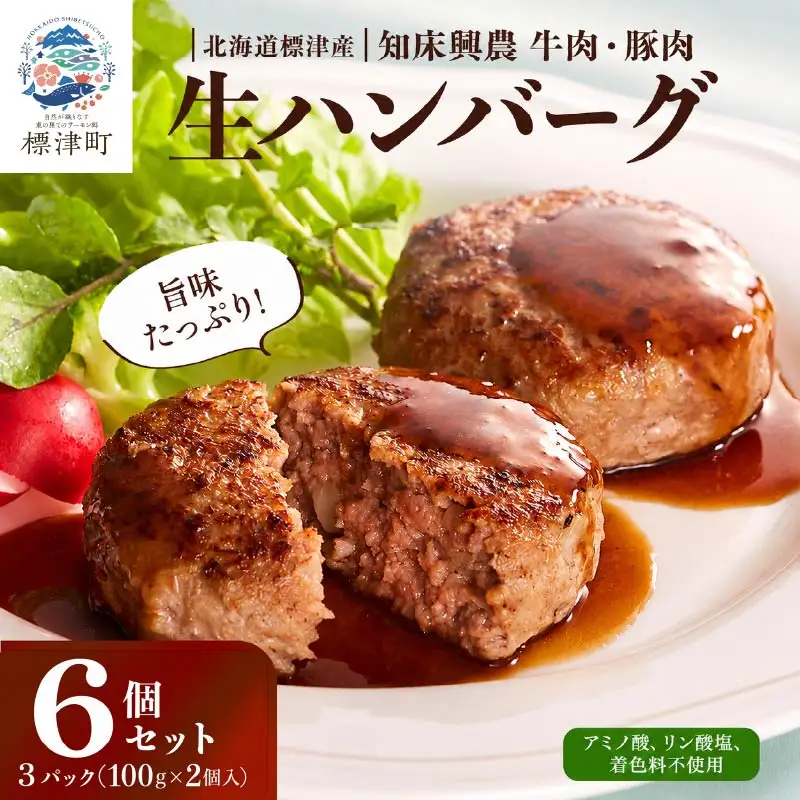 【生ハンバーグ】北海道産牛ハンバーグ 6個セット　
