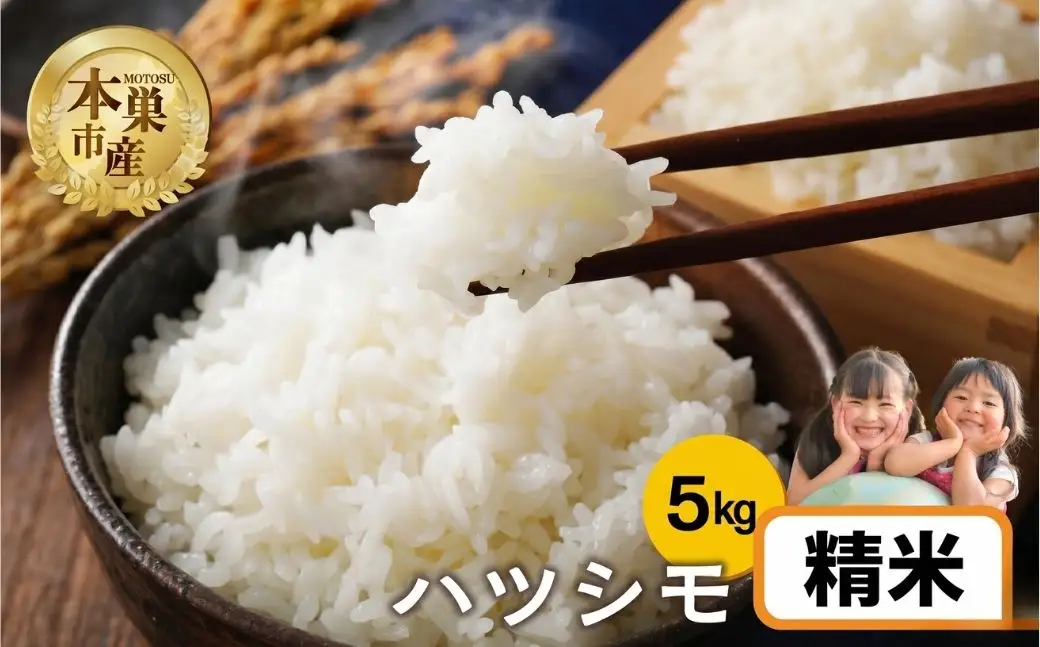 【生活応援】 米 5kg ハツシモ 令和7年産 米