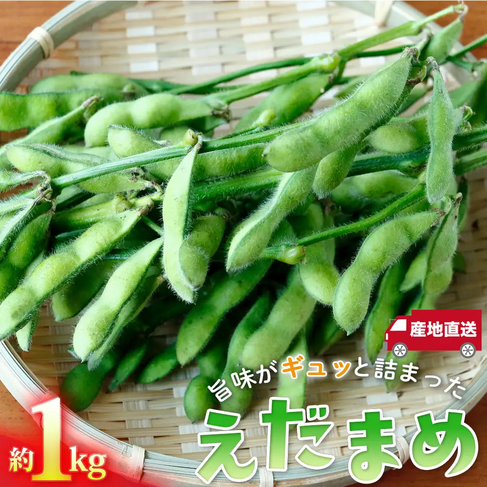 枝豆の聖地・千葉県野田市産！枝付き枝豆 約1kg ／ 枝豆 枝付き 枝豆1kg 産地直送 大莢 甘み濃厚 食べ応え ぷっくり豆 おつまみ BBQ 家飲み 新鮮 野菜 旬の味覚 千葉県 No.402