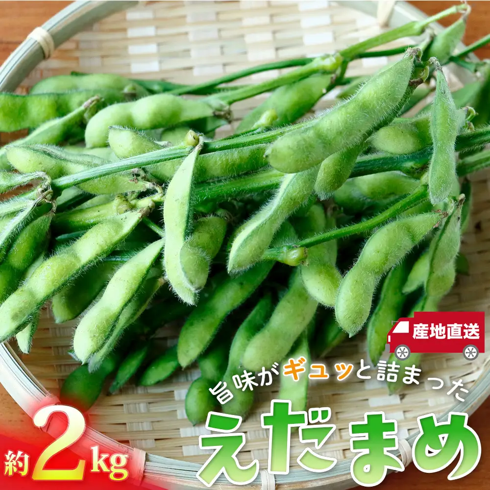 枝豆の聖地・千葉県野田市産！枝付き枝豆 約2kg ／ 枝豆 枝付き 枝豆2kg 産地直送 大莢 甘み濃厚 食べ応え ぷっくり豆 おつまみ BBQ 家飲み 新鮮 野菜 旬の味覚 千葉県 No.404