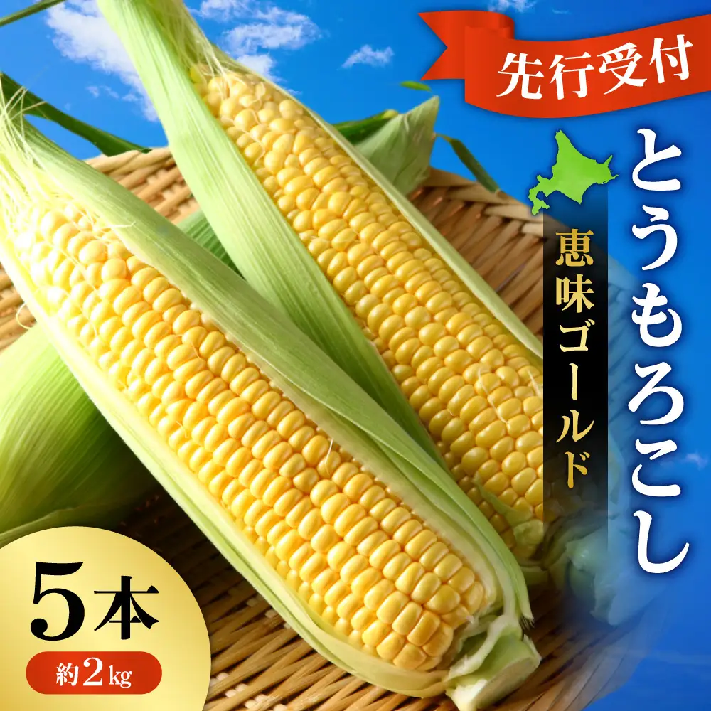 【先行受付】とうもろこし（恵味ゴールド） 5本（約2kg） | 野菜 トウモロコシ 北海道 札幌市