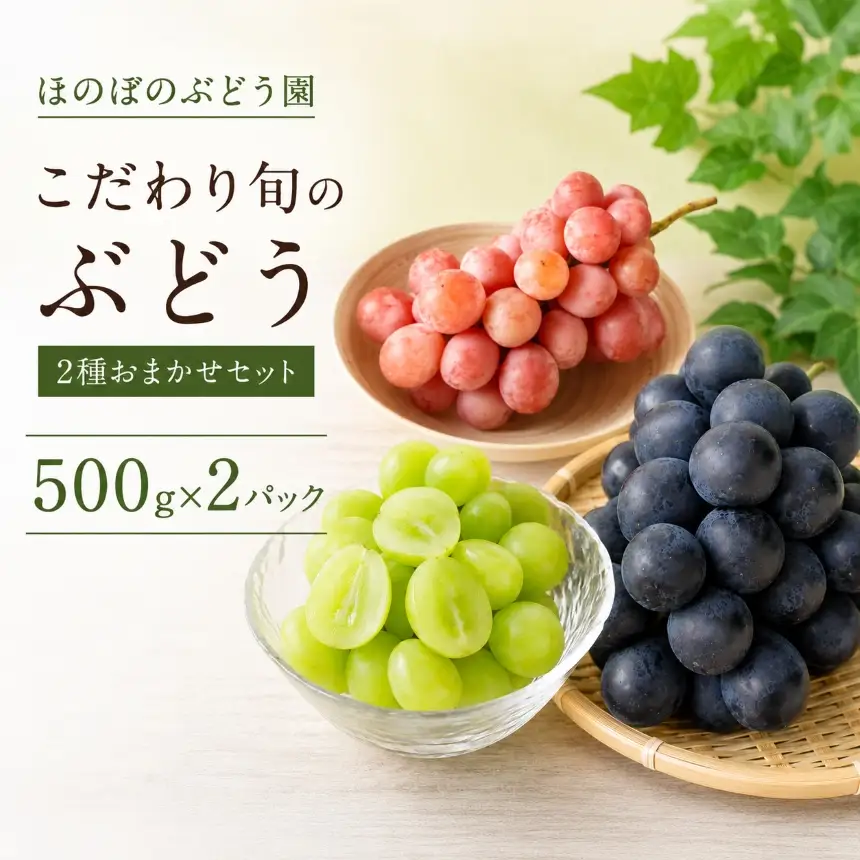 美浜町産 こだわり旬のぶどう 2種おまかせセット（シャインマスカット＋ピオーネ／グロスクローネ／タカスミ／クイーンニーナ） | 先行予約 愛知県 美浜町