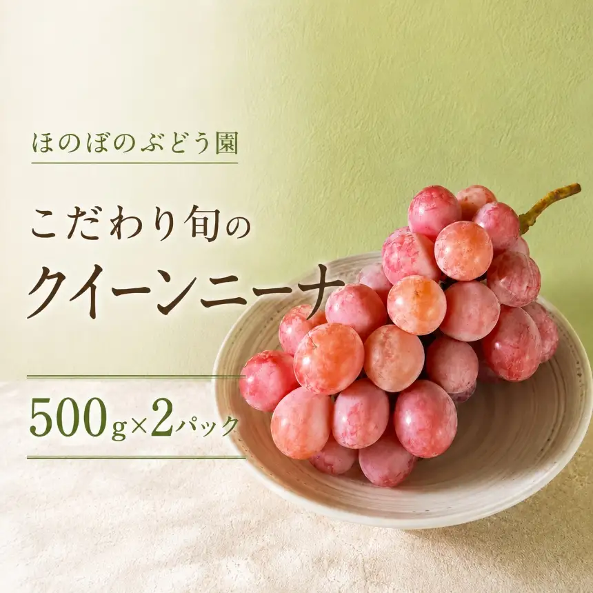 美浜町産 こだわりクイーンニーナ 500g×2 | 先行予約 ぶどう 愛知県 美浜町