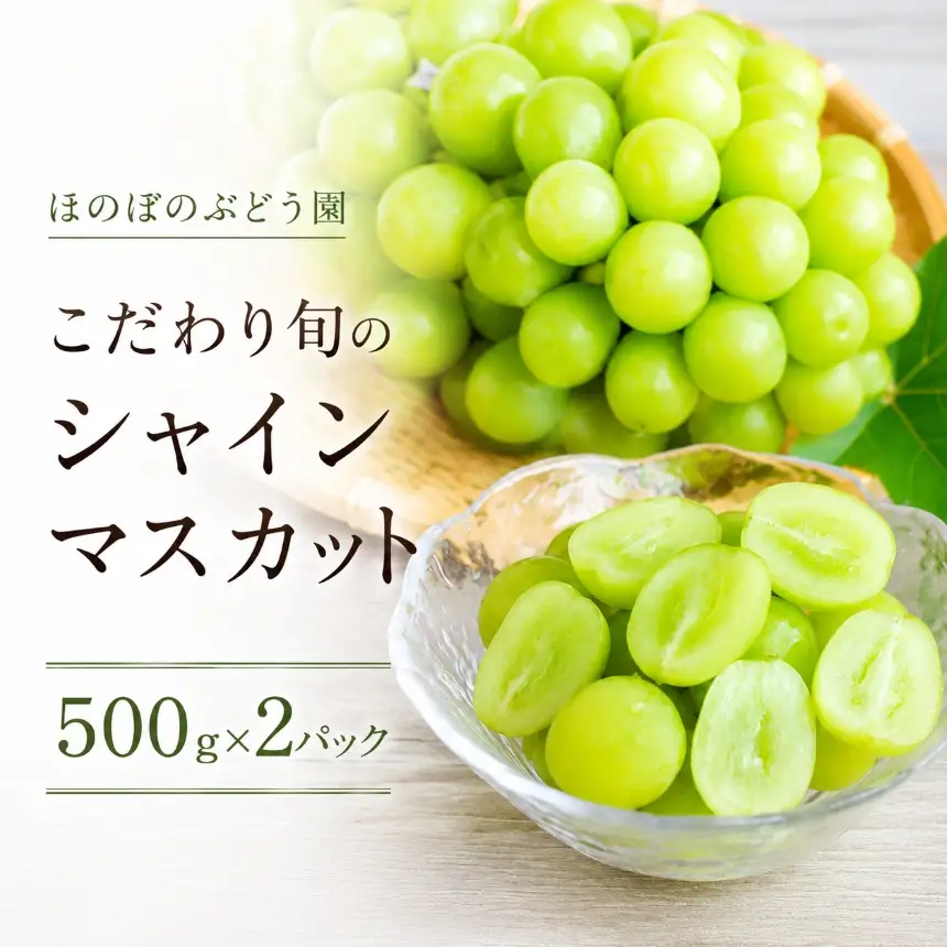 美浜町産 こだわりシャインマスカット 500g×2 | 先行予約 ぶどう 愛知県 美浜町
