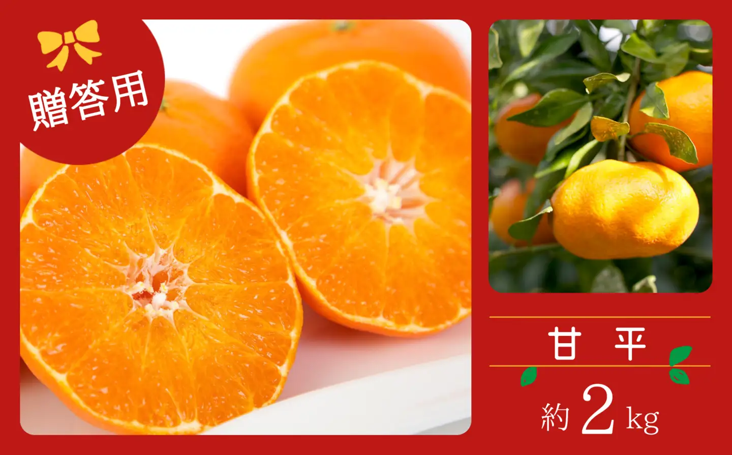 コウ果樹園の【厳選】甘平2kg YWTG031