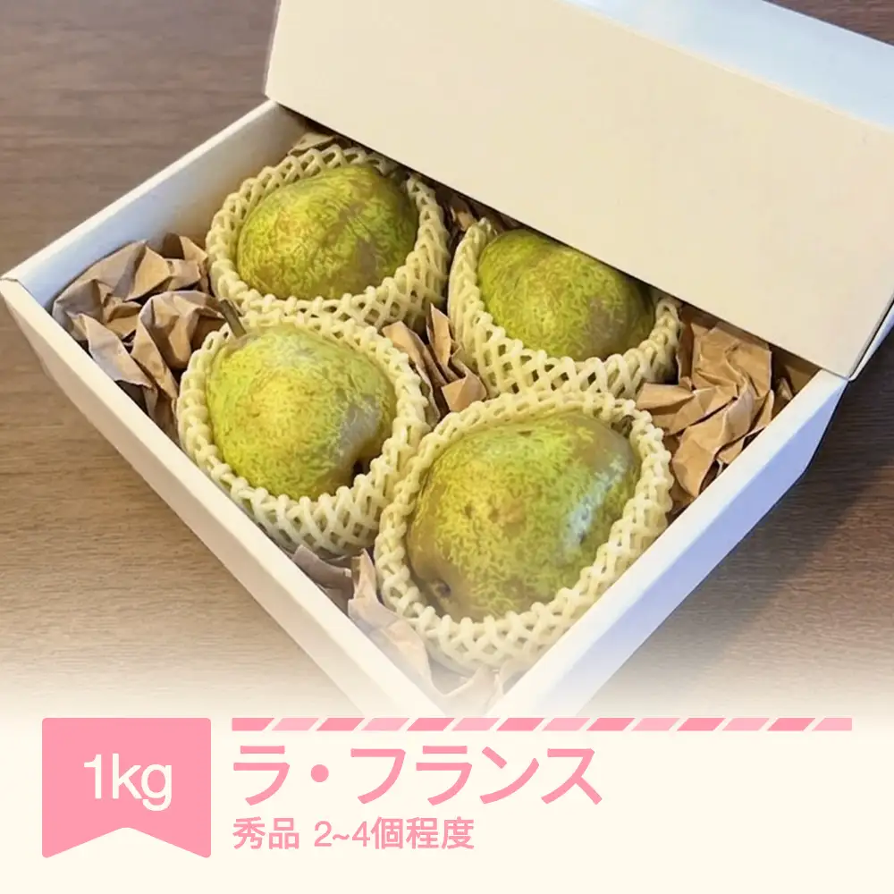 【先行予約】ラ・フランス 約1kg 令和8年産 sb-lasyx1