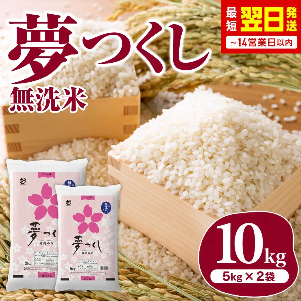 福岡県産米 無洗米 夢つくし 10kg 無洗 CY014