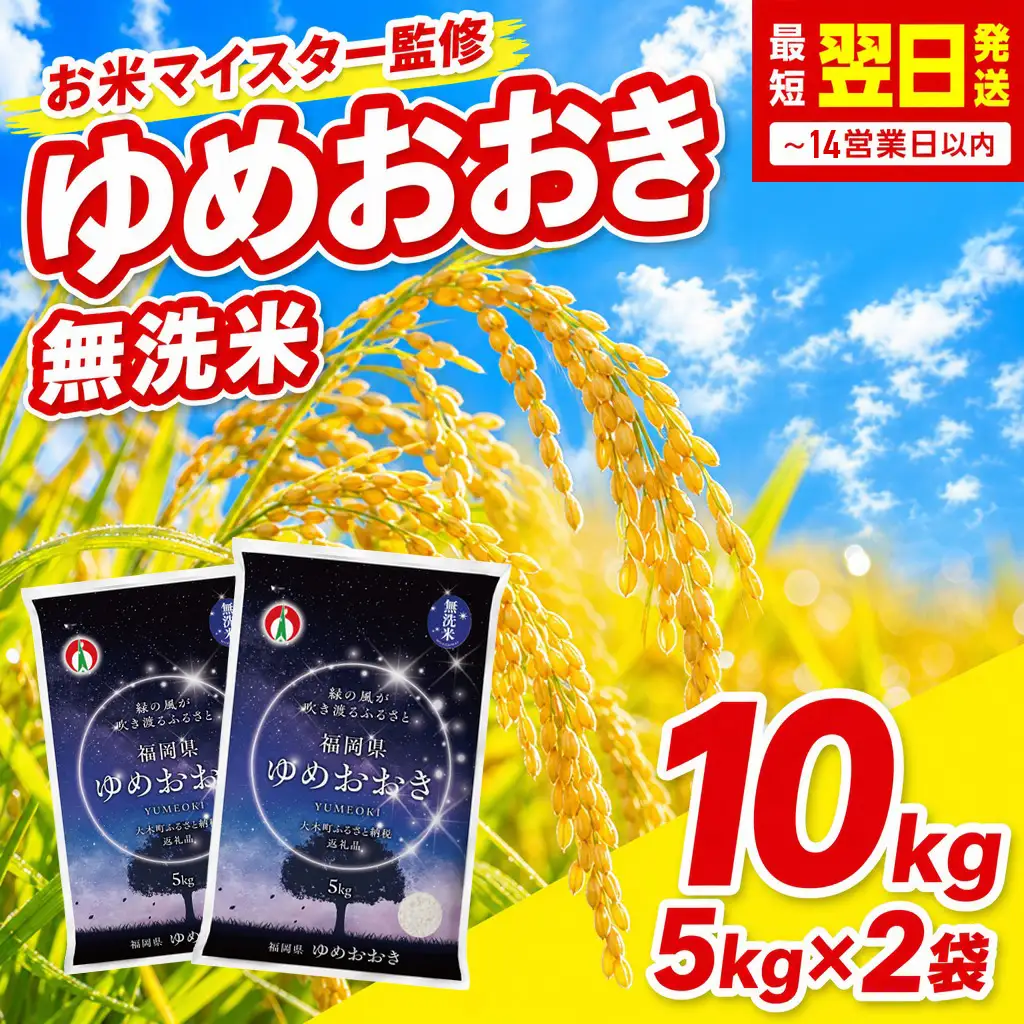 福岡県産米 無洗米 ゆめおおき 10kg 無洗 CY015