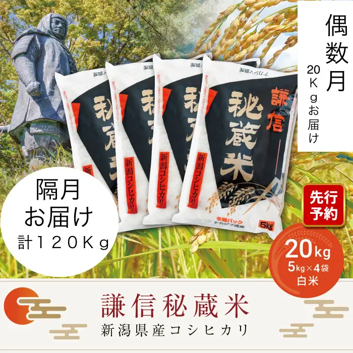 先行予約 令和8年産 新潟県産 コシヒカリ 定期便 偶数月発送（20kg×6