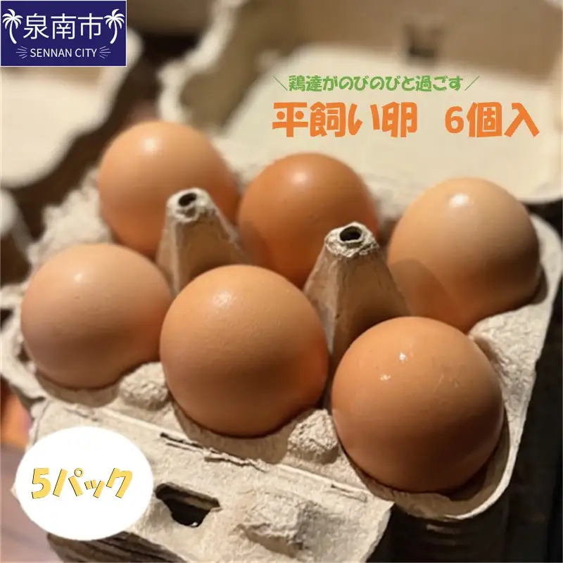 とまり木ファームの平飼い卵（6個入×5パック）【124D-002】