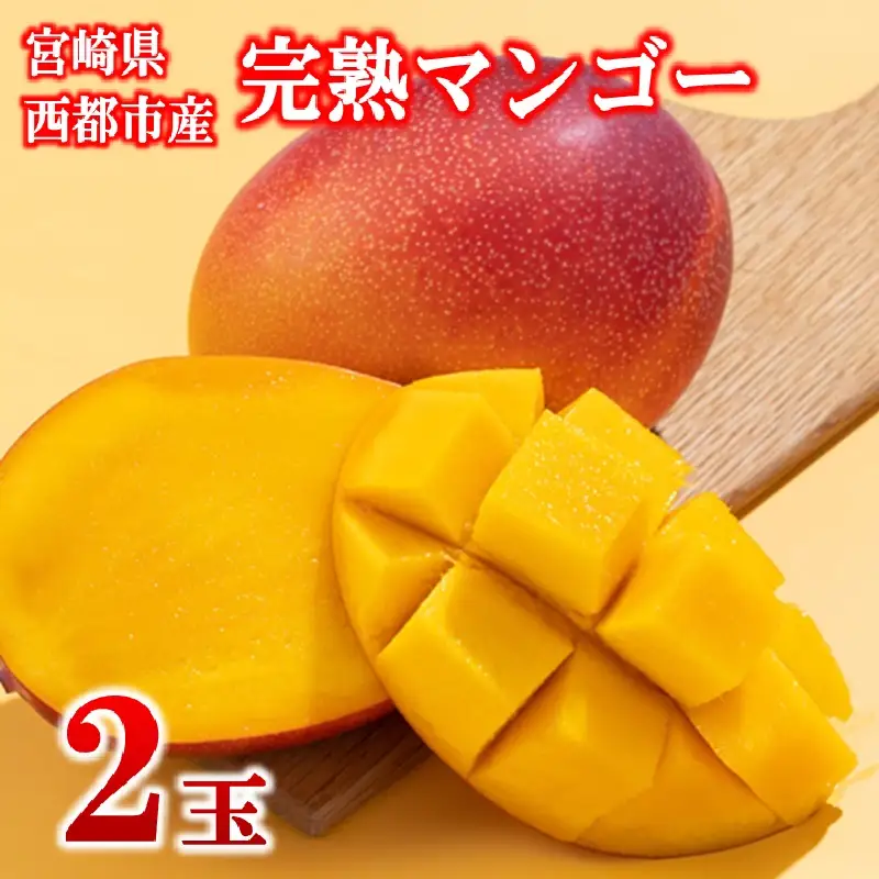 フルーツ専門店『南国フルーツ』厳選宮崎完熟マンゴー2玉(計500g)宮崎県西都市産＜73-2a＞