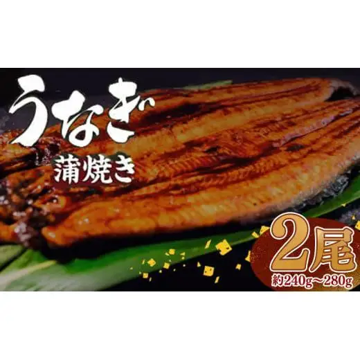 有頭 うなぎ 蒲焼 2尾 240g以上（ 120g～140g × 2尾 ） | 尾頭付き 土用の丑の日 蒲焼 鰻 ひつまぶし うな丼 うな重 お歳暮 ギフト 冷凍 養殖 ふるさと納税うなぎ 高知県 須崎市 秘伝タレ付き 真空パック 惣菜 人気 ランキング おすすめ 母の日 父の日 ME065_x
