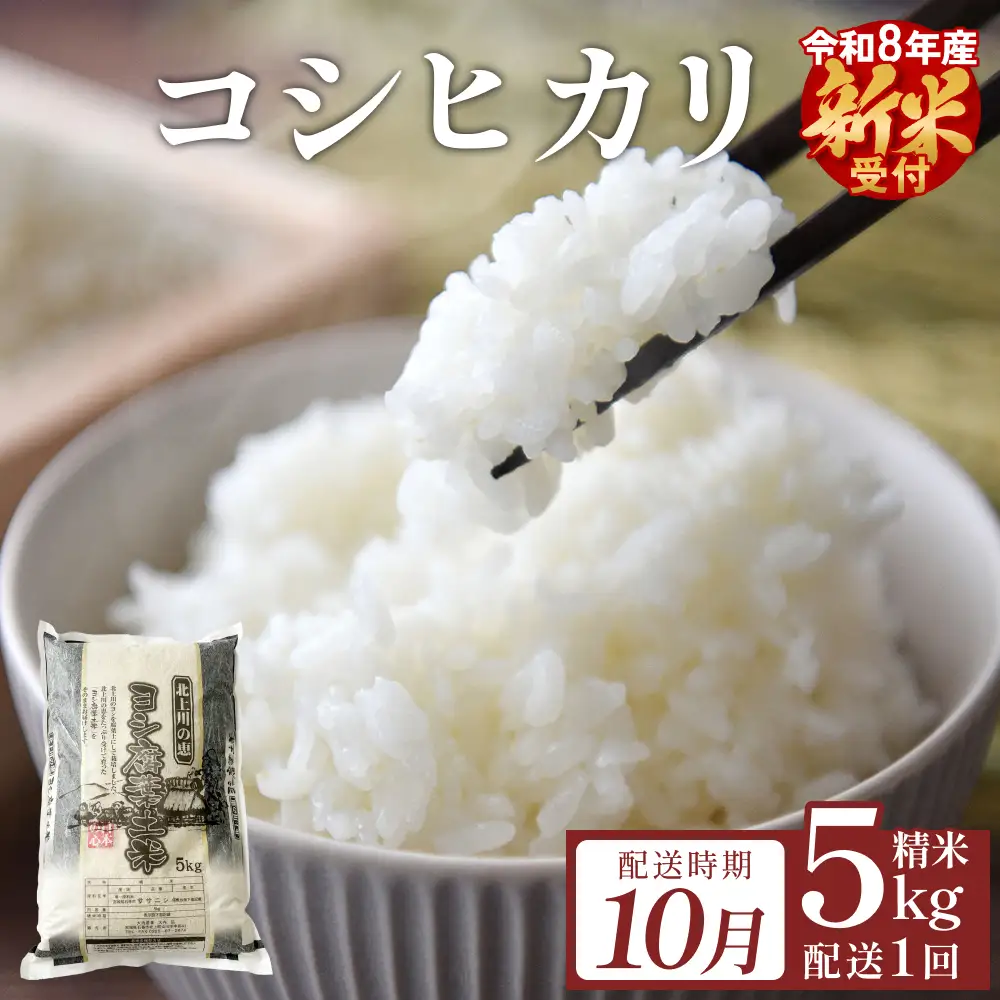【10月配送】 ＜先行予約＞ 米 令和8年産 コシヒカリ 精米 5kg 単品 新米 こめ コメ お米 ご飯 白米 こしひかり