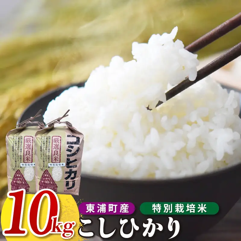 東浦町産　こしひかり　約10kg（5kg×2袋）│米 お米 コメ 白米 精米 新米 愛知県産
