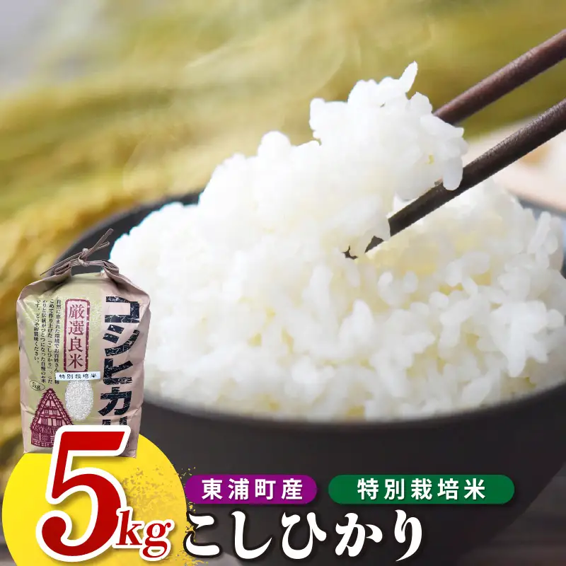 東浦町産　こしひかり　約5kg│米 お米 コメ 白米 精米 新米 愛知県産