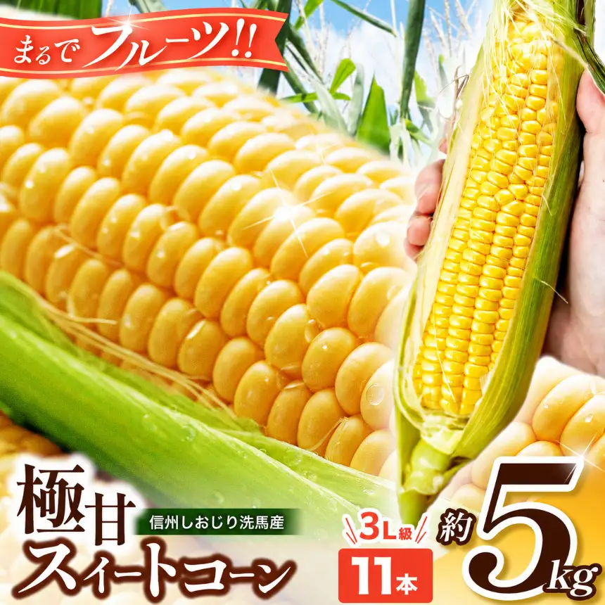 【2026年先行予約】 極甘スイートコーン 3L級 11本 約5kg （高原野菜の名産地　信州しおじり洗馬産）【7月末～8月中旬にかけて順次発送予定】