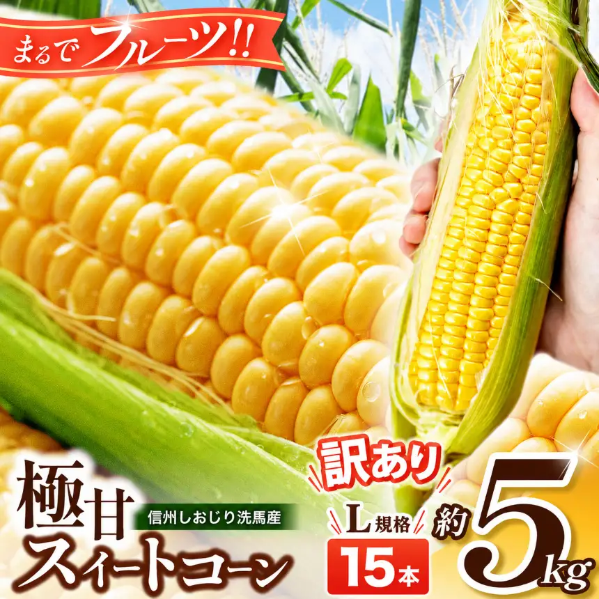 【2026年先行予約】 極甘スイートコーン 訳あり L規格15本 約5kg （高原野菜の名産地　信州しおじり洗馬産）【7月末～8月中旬にかけて順次発送予定】