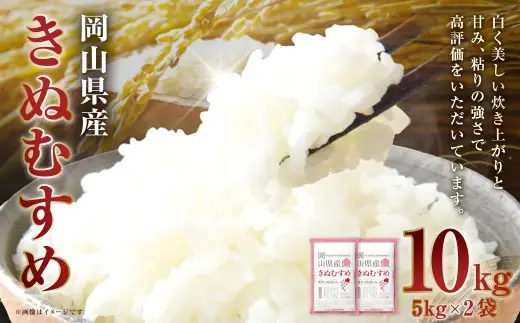 【 令和7年産 】 岡山県産 きぬむすめ 10kg （ 5kg × 2袋 ） 甘み 粘り 食味 特A お米 米 こめ コメ 白飯 飯 ご飯 ブランド米 ブランド 国産 白米 おにぎり
