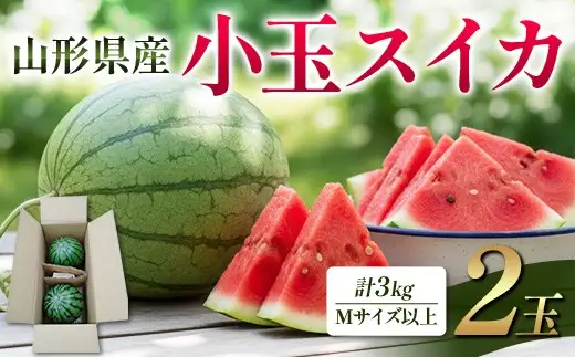 山形県産 小玉スイカ 2玉 FSY-2859