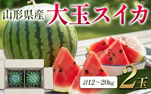 山形県産 大玉スイカ 2玉 FSY-2864