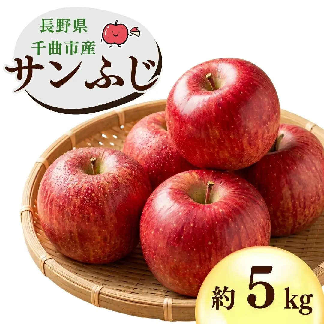 【2026年先行予約】千曲市産 サンふじ りんご 約5kg | りんご