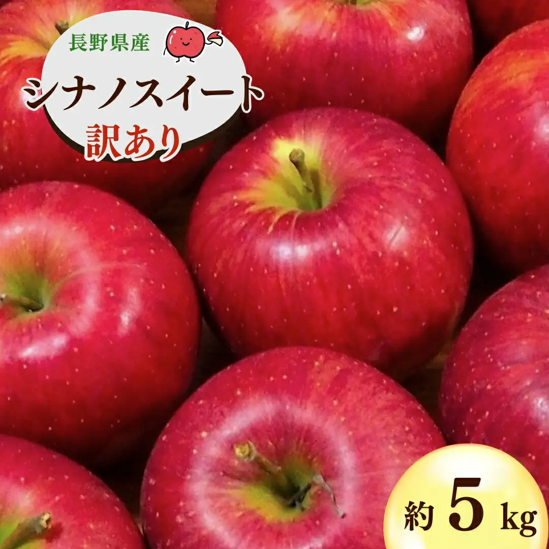 【2026年先行予約】千曲市産 シナノスイート りんご 約5kg 訳あり 家庭用 | りんご