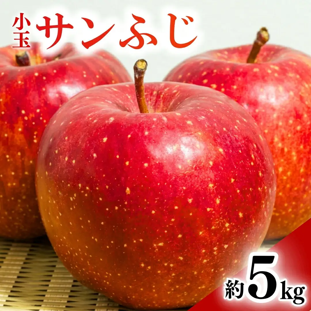 【2026年先行予約】りんご 小玉サンふじ 約5kg | りんご
