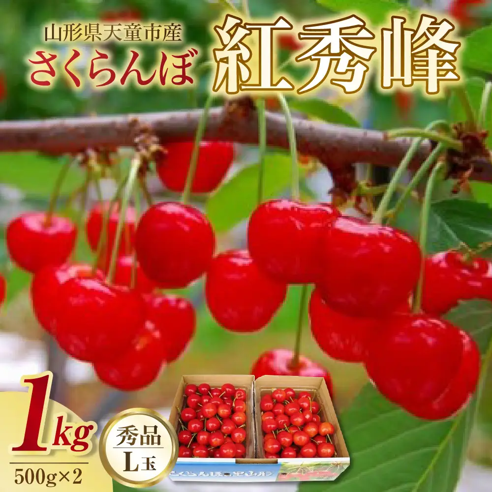 さくらんぼ ( 紅秀峰 ) 1kg さくらんぼ 08-02-021