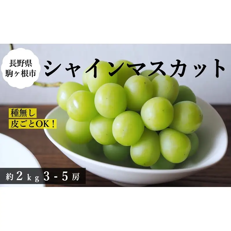 【2026年産予約】シャインマスカット 約2kg（3〜5房）｜農園直送｜2026年9月中旬より発送予定　ぶどう 種なし 皮ごと フルーツ 果物 デザート おやつ マスカット ブドウ 葡萄 秋 旬 信州産 長野県産
