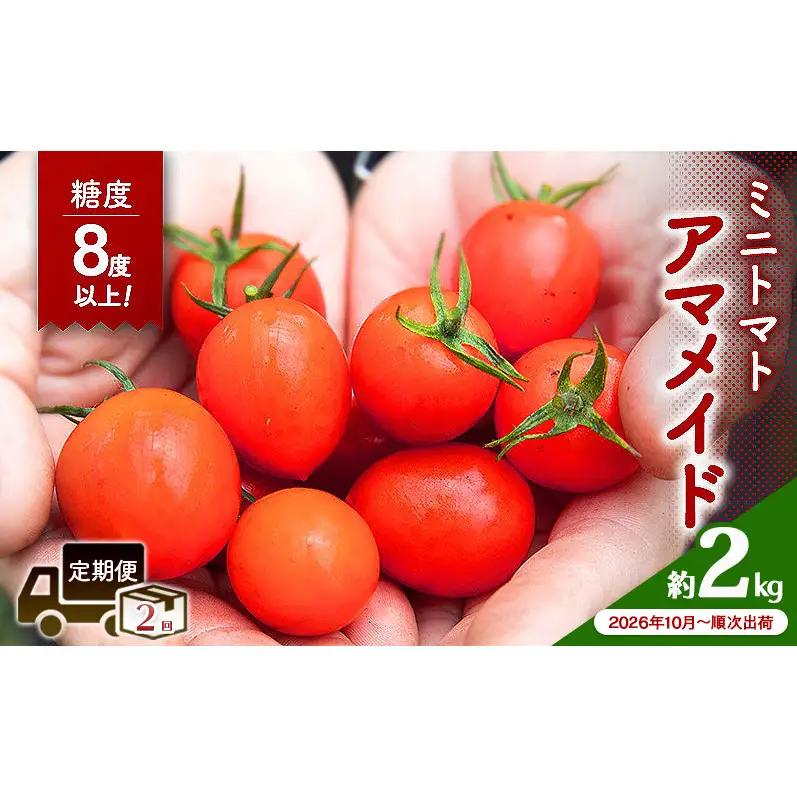 【2026年10月～順次出荷】定期便 2回 ミニトマト2kg　アマメイド糖度8度以上　高リピート率野菜